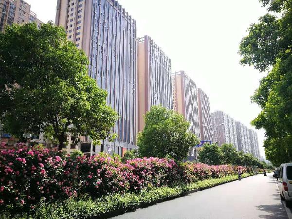 微信圖片_20190312143047.jpg